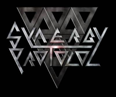 logo Synergy Protocol logo Synergy Protocol